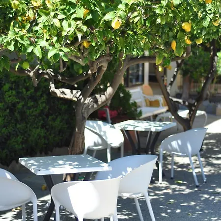 Celo Garden 2*