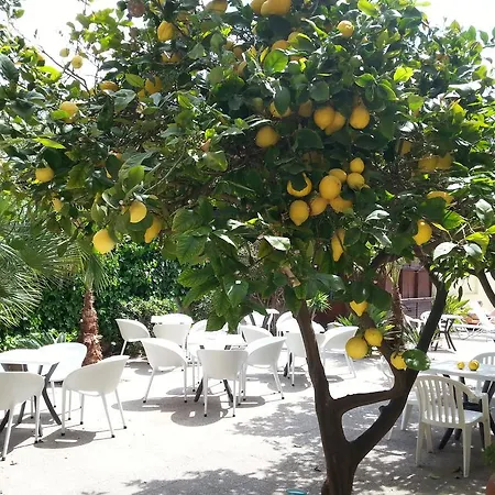Casa de hóspedes Celo Garden 2*