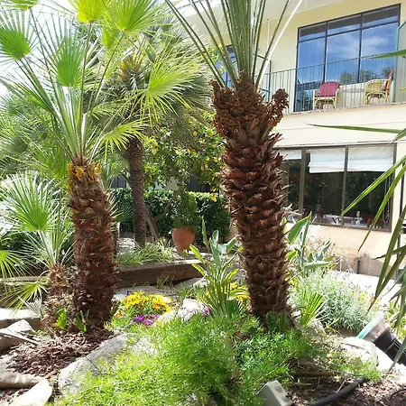 Celo Garden Peguera