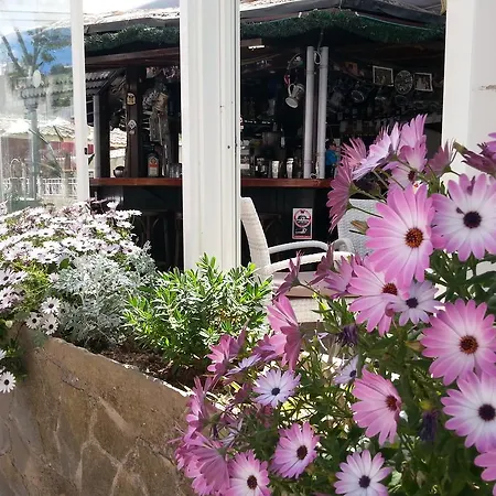 Celo Garden