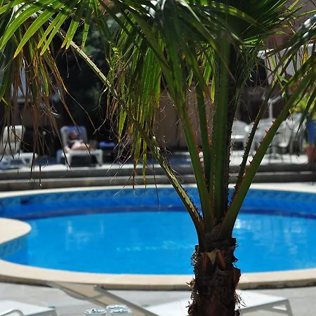 Casa de hóspedes Celo Garden