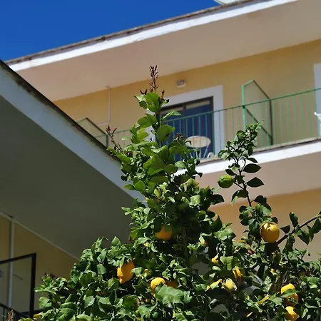 Celo Garden